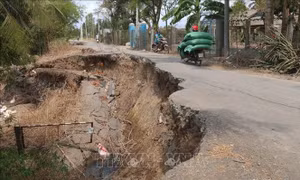 Nâng cấp đê biển Gò Công, bảo vệ trên 37.000 ha đất canh tác
