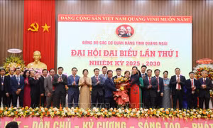 Các cơ quan Đảng tỉnh Quảng Ngãi thực hiện tốt vai trò 'hạt nhân' chính trị