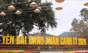  Rực rỡ cờ hoa mừng Tết Canh Tý 2020 tại TP Yên Bái