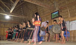 Hiệu quả từ những lớp học cồng chiêng