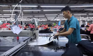 Nghị quyết 01/NQ-CP: Doanh nghiệp kỳ vọng vào cơ hội phát triển năm 2024 