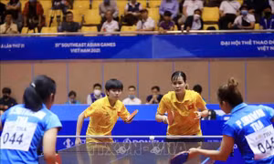 SEA Games 31: Bán kết đôi nam, đôi nữ, đôi nam nữ môn Bóng bàn