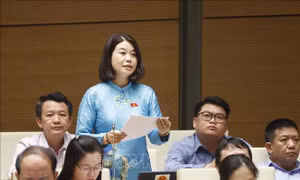 Tạo cơ sở pháp lý để phát triển, nhân rộng mô hình bác sỹ gia đình