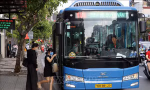 TP. Hồ Chí Minh đưa ra các phương án thực hiện miễn phí xe buýt