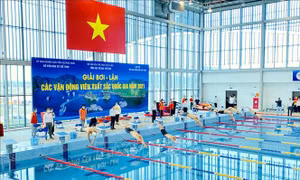 198 vận động viên xuất sắc tham gia Giải Bơi, Lặn quốc gia