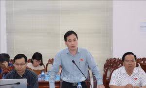 Giám sát việc chấp hành pháp luật về giám định tư pháp trong tố tụng hình sự tại Cần Thơ