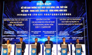 Doanh nghiệp Việt Nam - Trung Quốc ký kết 21 thỏa thuận, hợp đồng kinh tế