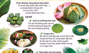 Một số loại lá mang lại lợi ích nhiều hơn chúng ta nghĩ
