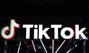 Nghị viện châu Âu cấm nhân viên sử dụng TikTok 