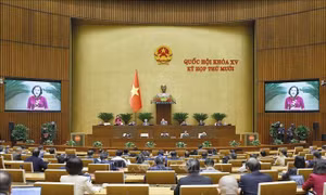 Thông cáo báo chí số 25, Kỳ họp thứ 10, Quốc hội khóa XV