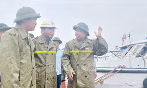 Thứ trưởng Bộ NN&PTNT kiểm tra công tác phòng, chống bão tại Quảng Ninh