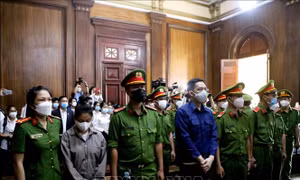 Hoãn phiên tòa xét xử vụ án bạo hành bé gái dẫn đến tử vong ở TP Hồ Chí Minh