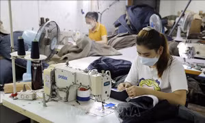 Tăng khả năng tiếp cận nguồn vốn lãi suất 2% cho doanh nghiệp