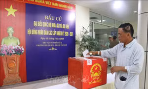 Những lá phiếu từ các điểm bầu cử đặc biệt 