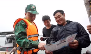 Nghệ An kiểm soát chặt hoạt động khai thác thủy hải sản 