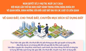 Nghị quyết số 21-NQ/TW: Giao đất, cho thuê đất, chuyển mục đích sử dụng đất 