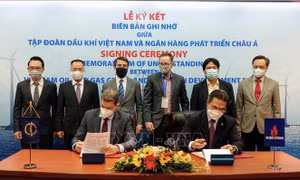 ADB và PVN hợp tác thúc đẩy phát triển năng lượng xanh tại Việt Nam