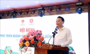 Cảnh báo sự mất cân đối trong phát triển ngành hàng sầu riêng