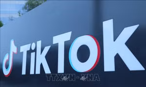 TikTok gỡ hơn 104 triệu video có nội dung bạo lực