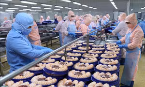 9 tháng năm 2020: 5 mặt hàng xuất khẩu trên 10 tỷ USD