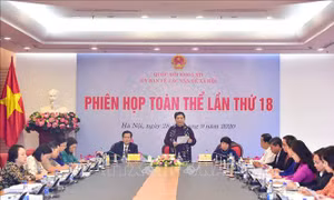 Tăng cường thanh tra, kịp thời xử lý hành vi vi phạm về dược và trang thiết bị y tế