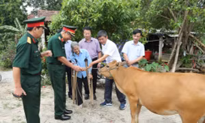Xoa dịu nỗi đau cho nạn nhân bom, mìn tỉnh Quảng Bình