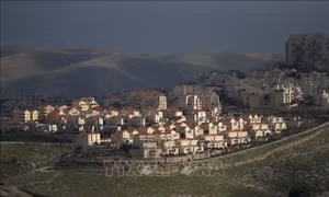 Tổng Thư ký Liên đoàn Arab nhận định lý do Israel ngừng sáp nhập Bờ Tây