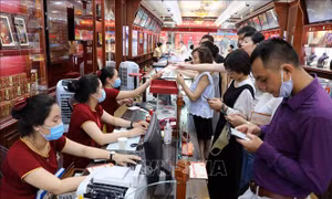 Giá vàng lao dốc xuống dưới mốc 55 triệu đồng/lượng