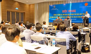 Tìm giải pháp đảm bảo an toàn cho tàu cá