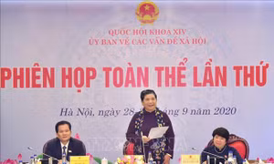 Phiên họp toàn thể lần thứ 18 Ủy ban Về các vấn đề xã hội của Quốc hội