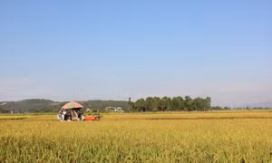 Nông dân Can Lộc viết tiếp tinh thần Xô Viết