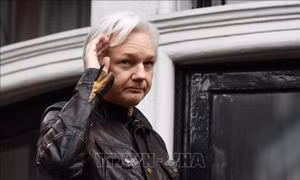 Tòa án Anh nối lại phiên xử về dẫn độ nhà sáng lập WikiLeaks sang Mỹ
