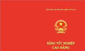 Đào tạo bổ sung cho 125 sinh viên cao đẳng y tế bị thu hồi bằng tốt nghiệp