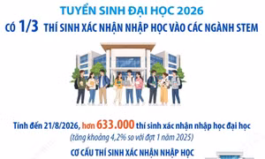 Tuyển sinh đại học 2026: Có 1/3 thí sinh xác nhận nhập học vào các ngành STEM