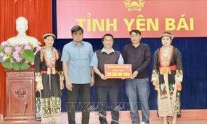 Đảm bảo lương thực, cơ cấu lại sản xuất nông nghiệp sau bão, lũ