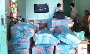 Bắt giữ gần nửa tấn pháo lậu tại Gia Lai