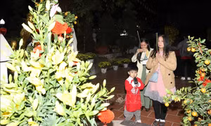 Lễ chùa đầu xuân - nét đẹp trong văn hóa của người Việt tại Lào