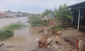 Ban bố tình trạng khẩn cấp sạt lở rạch Cái Sắn, thành phố Long Xuyên