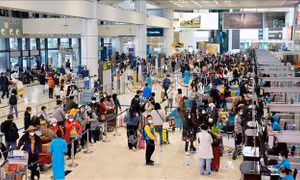 Sản lượng vận chuyển khách các hãng hàng không Việt Nam giảm mạnh