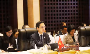 Việt Nam tham dự cuộc họp chuẩn bị cho Hội nghị cấp cao ASEAN lần thứ 44-45