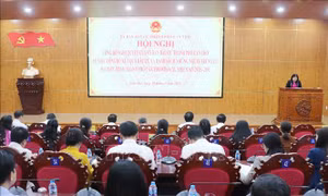 Đại biểu HĐND các cấp cần bắt tay ngay vào việc thực hiện chương trình hành động