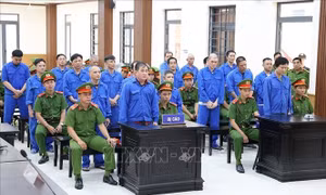 Võ Hoàng Hiếu và đồng phạm lĩnh án tù về tội 'Tổ chức đánh bạc'