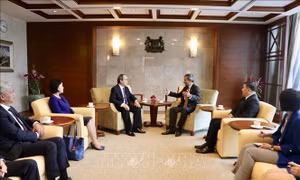 TP Hồ Chí Minh thúc đẩy hợp tác với Singapore về khởi nghiệp sáng tạo