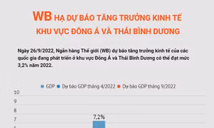 WB hạ dự báo tăng trưởng kinh tế khu vực Đông Á và Thái Bình Dương