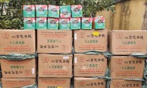 Nghệ An: Bắt xe khách vận chuyển 840 kg pháo hoa