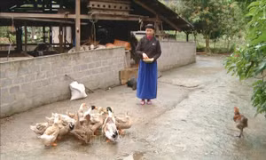 Quỹ tự đóng góp giúp phụ nữ xã Du Già thoát nghèo