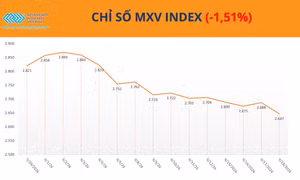 Giá bạc lao dốc hơn 6%, MXV-Index mất hơn 1,5%
