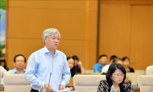 Ưu tiên đầu tư phát triển KT-XH vùng dân tộc thiểu số, miền núi và đặc biệt khó khăn