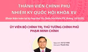 Thành viên Chính phủ nhiệm kỳ Quốc hội khóa XV (Được kiện toàn tại kỳ họp thứ 10, Quốc hội khóa XV, tháng 10/2025)