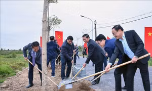 Tết trồng cây: Tạo cảnh quan, bảo vệ môi trường sinh thái